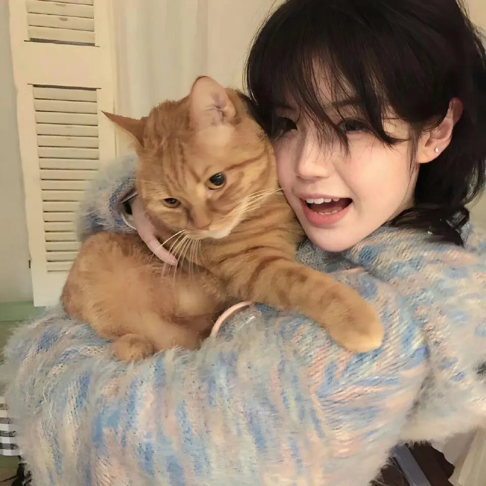 拿着手术刀的猎人
