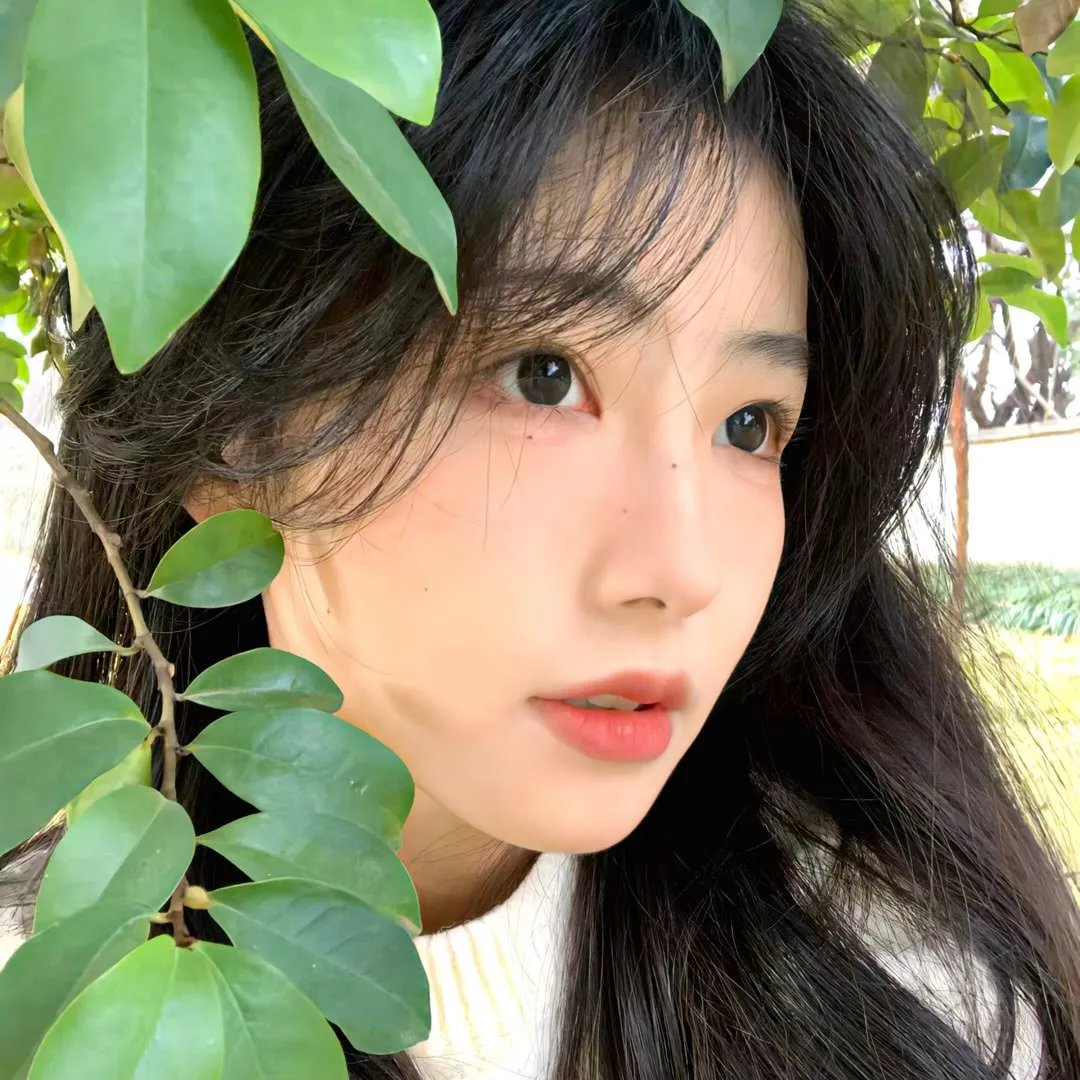 明明系发明