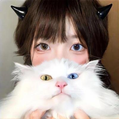 生命骑士